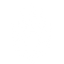 SilverBearDesigns